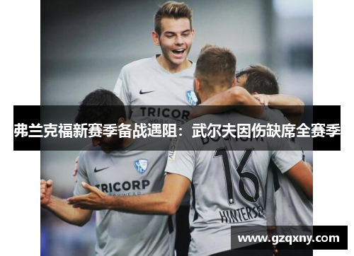 弗兰克福新赛季备战遇阻：武尔夫因伤缺席全赛季