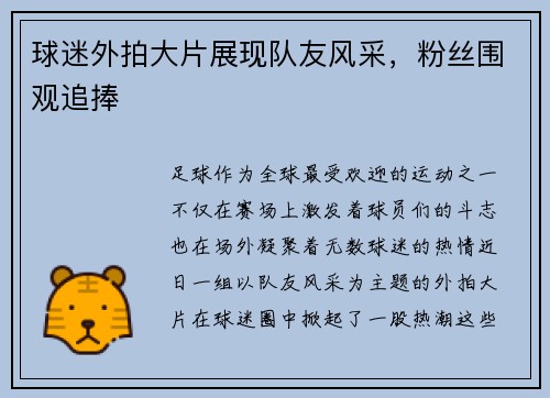 球迷外拍大片展现队友风采，粉丝围观追捧