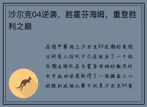 沙尔克04逆袭，胜霍芬海姆，重登胜利之巅