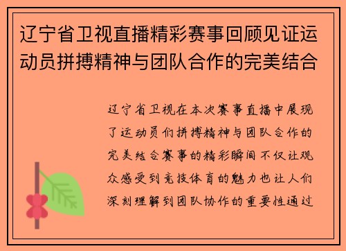 辽宁省卫视直播精彩赛事回顾见证运动员拼搏精神与团队合作的完美结合